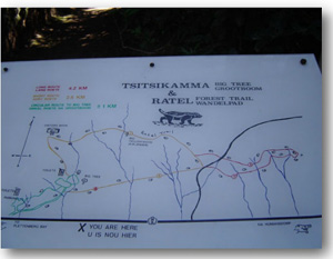 Tsitsikamma Trail